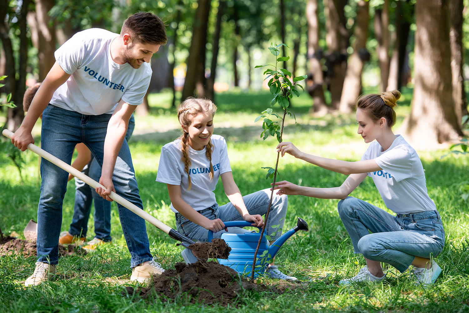 Planting Trees