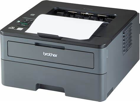 Brother HL-L2445DW