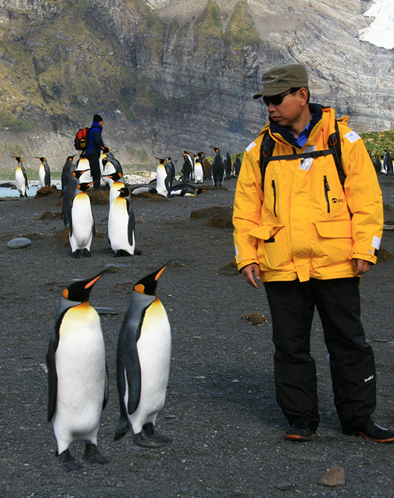 toner supplier, wholesale toner suppliers, g&g ink cartridge